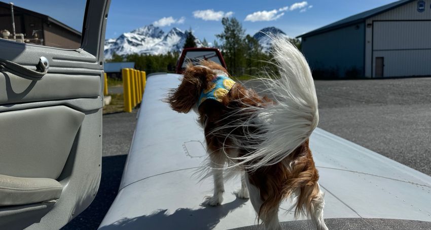 Valdez, AK (PAVD)