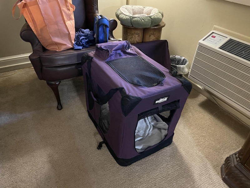 Photos