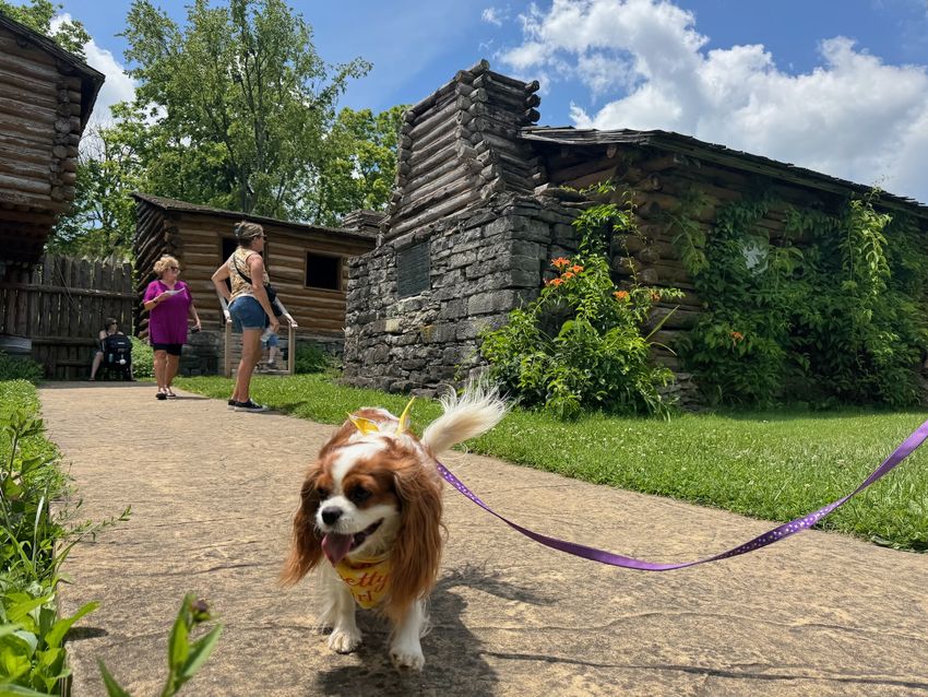 Fort Harrod, Harrodsburg, KY