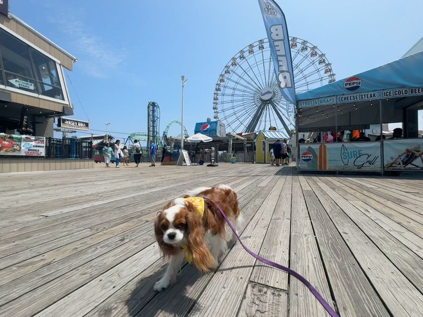 Seaside Heights, NJ