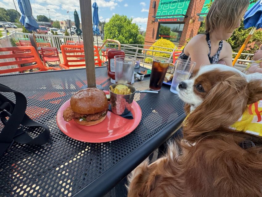 Lunch in Beverly, MA