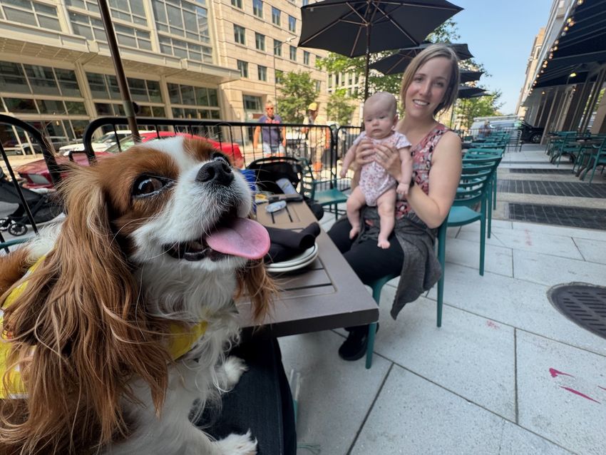 Lunch in Washington, DC