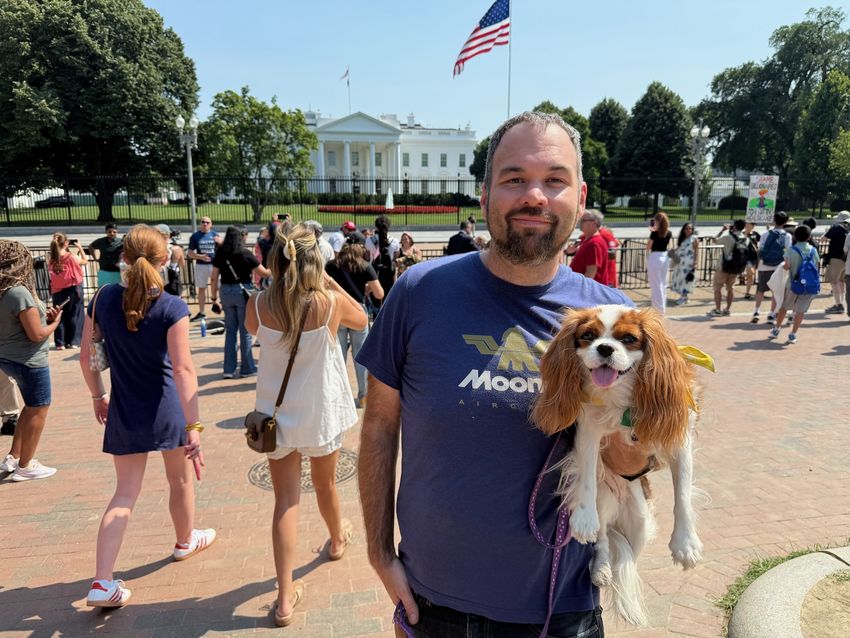 The White House, Washington, DC